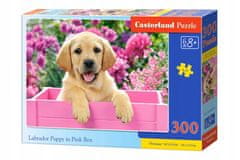 Castorland Puzzle 300 Dílků Štěně Labradora V Pink Krabičce