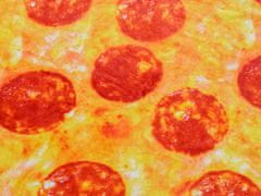 vyprodejpovleceni Mikroplyšová deka PIZZA oranžovo-červená