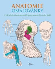 Gray Henry, Carter Henry: Anatomie omalovánky