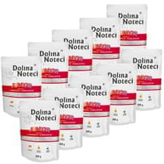 DOLINA NOTECI Dolina Noteci Premium Junior Bohaté Na Hovězí Srdce Sáček 10X300 G