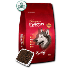 4DOGS Canun Invictus 20Kg Krmivo Pro Psy S Jehněčím Masem (Maso 30%), Rýží (