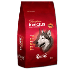 4DOGS Canun Invictus 20Kg Krmivo Pro Psy S Jehněčím Masem (Maso 30%), Rýží (