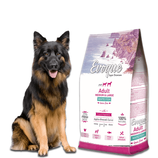 4DOGS Evoque Adult Bílá Ryba M&L Super Premium 12Kg