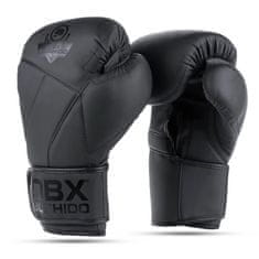 DBX BUSHIDO boxerské rukavice B-2v15B velikost 10 oz