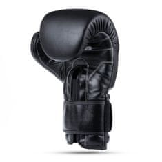 DBX BUSHIDO boxerské rukavice B-ProFight velikost 10 oz