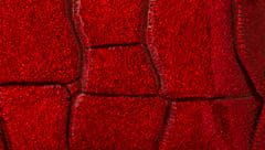 DuKaS Rodinná červená manikúra Solingen z pravé kůže PL25204