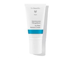 Dr. Hauschka Intenzivní kosmatcový krém (Ice Plant Intensive Cream) 50 ml