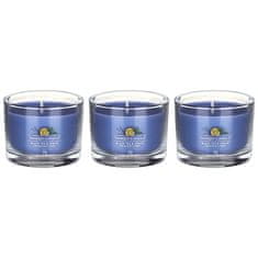 Yankee Candle Sada votivních svíček ve skle Black Tea & Lemon 3 x 37 g