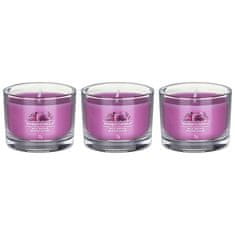 Yankee Candle Sada votivních svíček ve skle Wild Orchid 3 x 37 g