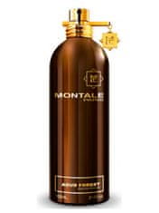 Montale Paris Aoud Forest - EDP 100 ml