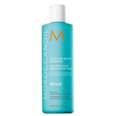 Moroccanoil Regenerační šampon s obsahem arganového oleje na slabé a poškozené vlasy (Moisture Repair Shampoo) (Objem 250 ml)