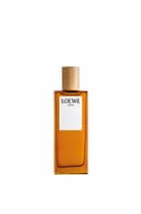 Loewe Solo Loewe - EDT 100 ml