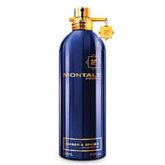 Montale Paris Amber & Spices - EDP 2 ml - odstřik s rozprašovačem