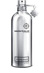 Montale Paris Chypré Fruité - EDP 2 ml - odstřik s rozprašovačem