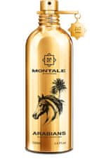 Montale Paris Arabians - EDP 2,0 ml - vzorek s rozprašovačem