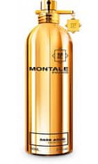 Montale Paris Dark Aoud - EDP 2 ml - odstřik s rozprašovačem