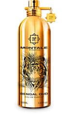 Montale Paris Bengal Oud - EDP 2 ml - odstřik s rozprašovačem