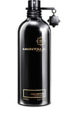 Montale Paris Oud Edition - EDP 100 ml