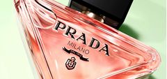 Prada Paradoxe - EDP 50 ml + EDP 10 ml