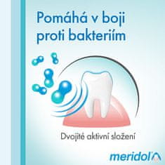 Meridol Zubní pasta pro ochranu dásní Gum Protection 75 ml