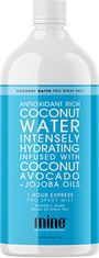 Minetan Samoopalovací nástřiková tekutina Coconut Water Pro Spray Mist 1000 ml