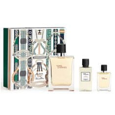 Hermès Terre D´ Hermes - EDT 100 ml + voda po holení 40 ml + EDT 12,5 ml