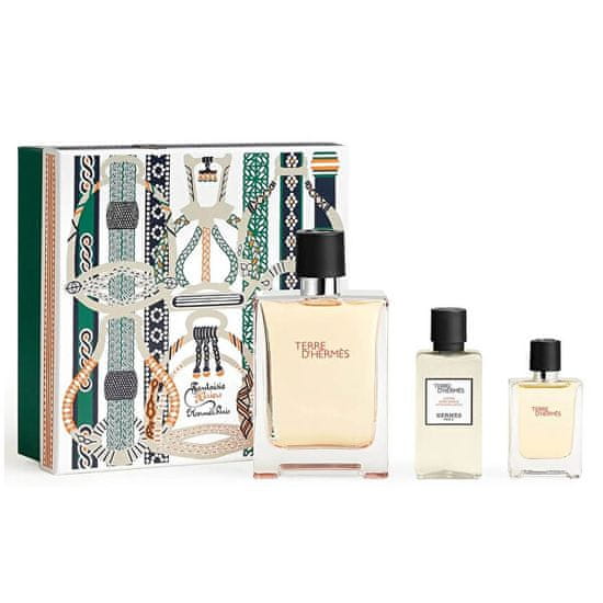 Hermès Terre D´ Hermes - EDT 100 ml + voda po holení 40 ml + EDT 12,5 ml