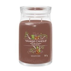 Yankee Candle Aromatická svíčka Signature sklo velké Praline & Birch 567 g