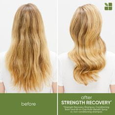 Biolage Šampon pro poškozené vlasy Strength Recovery (Shampoo) (Objem 250 ml)