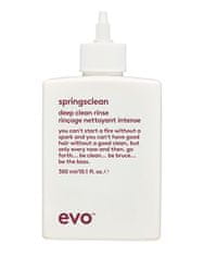 EVO+ Hloubkově čisticí šampon pro kudrnaté a vlnité vlasy Springsclean (Deep Clean Rinse) 300 ml