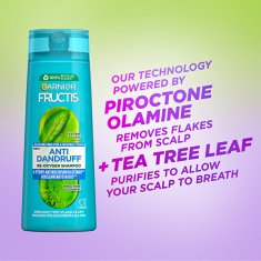 Garnier Očišťující šampon pro všechny typy vlasů s lupy Fructis Antidandruff (Re-Oxygen Shampoo) (Objem 250 ml)