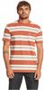 Quiksilver Pánské triko Little Dume Regular Fit EQYKT04302-CNS3 (Velikost L)