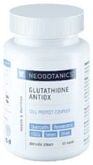 Glutathione Antiox 60 kapslí