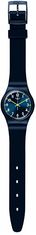 Swatch Skin Classic SO28N702