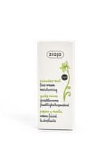 Ziaja Hydratační pleťový krém SPF 6 Cucumber Mint (Moisturising Face Cream) 50 ml