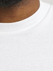 Jack&Jones Plus Pánské triko JJEBRADLEY Loose Fit 12250623 White (Velikost 4XL)