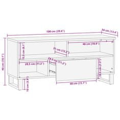 Vidaxl TV skříňka 100 x 34 x 46 cm masivní mangovníkové dřevo