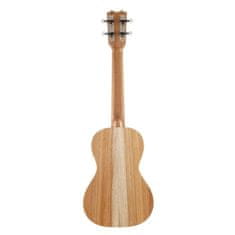 APC CS Ukulele Concerto Simples