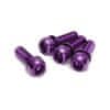 Šrouby M6x18mm Purple - 4ks, brzdový třmen 01830