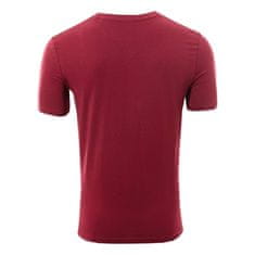 Fan-shop Tričko BAYER 04 LEVERKUSEN Logo burgundy Velikost: M