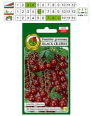 BOBIMARKET rajče black cherry koktejlová semena bez gmo