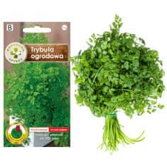 BOBIMARKET comun garden tribule herbs semena bylinky bez gmo