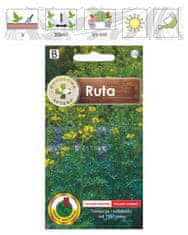 BOBIMARKET ruta musk flavour herb seeds bez gmo