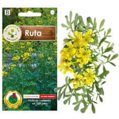 BOBIMARKET ruta musk flavour herb seeds bez gmo