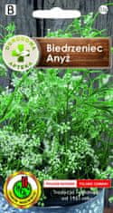 BOBIMARKET anis biother herb seed bylinky bez gmo