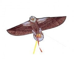 InnoVibe Hnědý létající orel - 138 x 69 cm