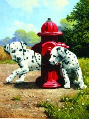 InnoVibe Malování podle čísel Dalmatini u červeného hydrantu 22x30cm s akrylovými barvami a štětcem na kartě