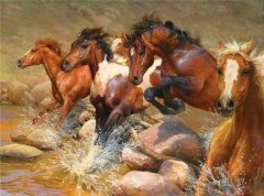 InnoVibe Sada na diamantové malování - běžící koně ve vodě