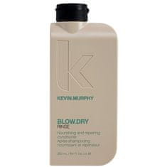 Vyživující a obnovující kondicionér Blow.Dry Rinse (Nourishing and Repairing Conditioner) (Objem 250 ml)