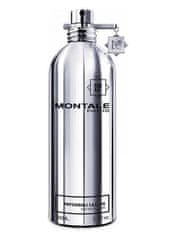 Montale Paris Patchouli Leaves - EDP 2 ml - odstřik s rozprašovačem